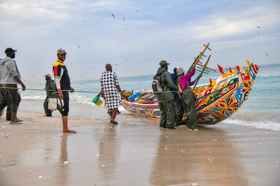 Fishermen guide a brightly painted wooden boat onto the shore, with seabirds overhead.